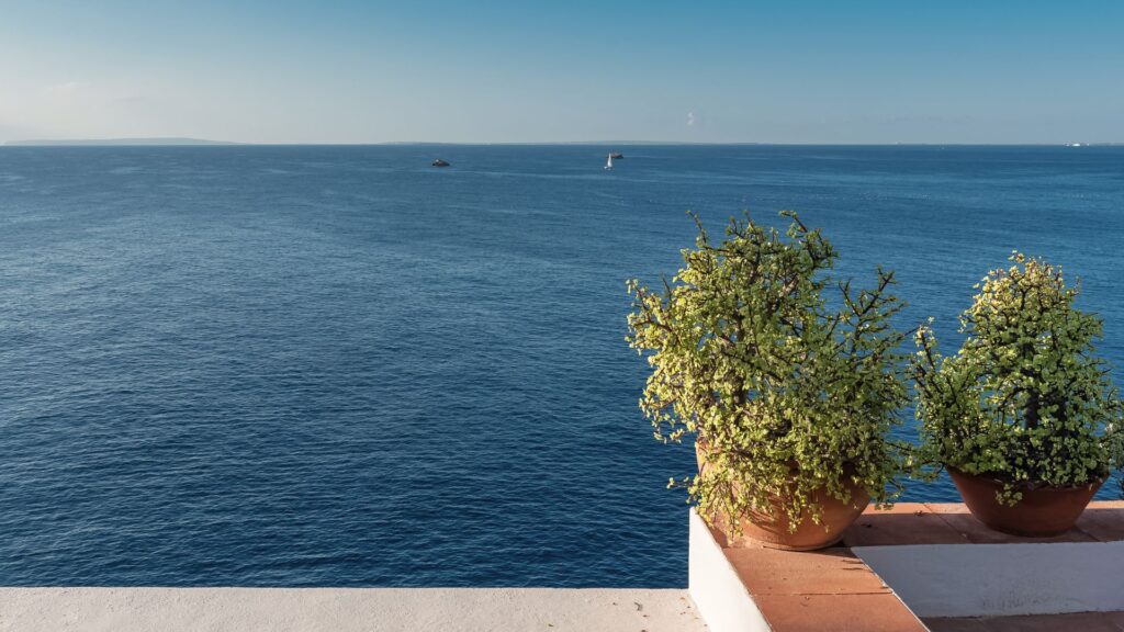 イビサ島の海を望む風景